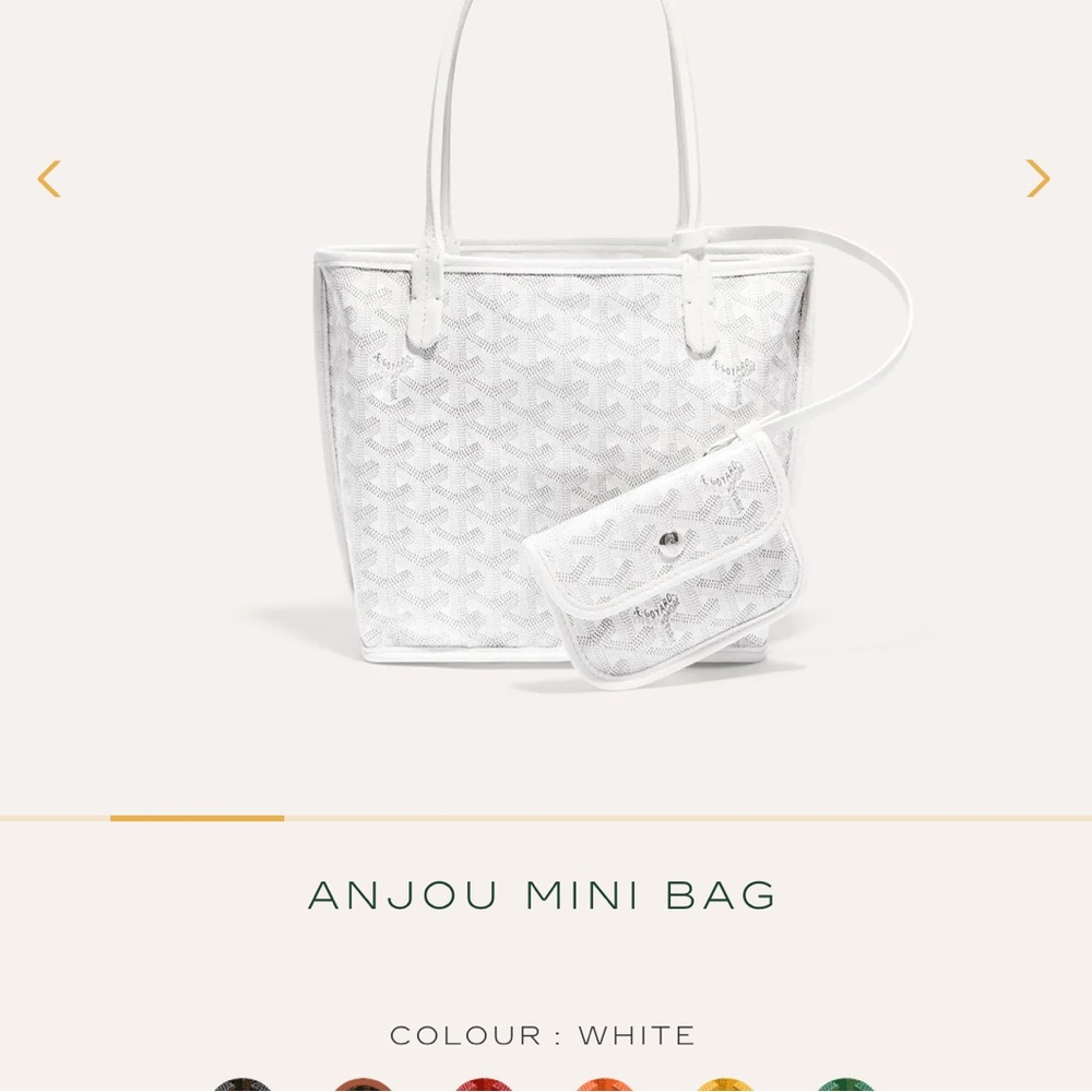 BNWT Goyard Anjou mini bag🤍🩶 - Picture 8 of 10